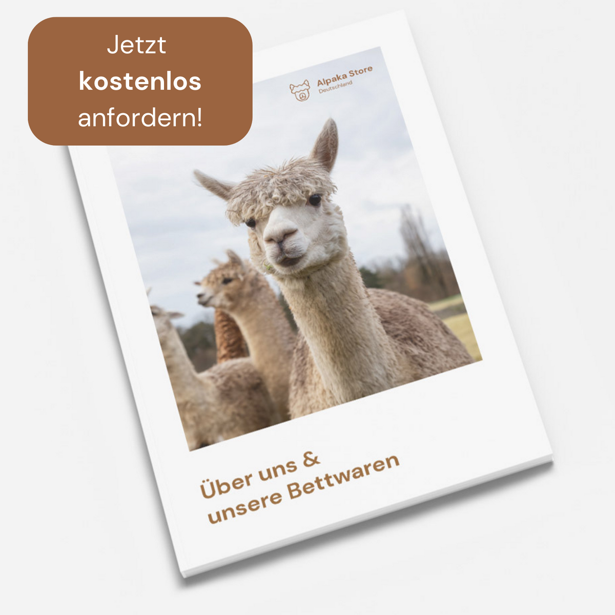 Free alpaca bedding brochure