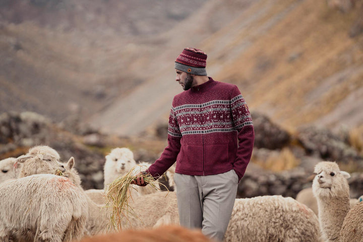 Alpaka Strickjacke Herren