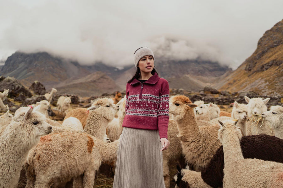 Alpaka Pullover